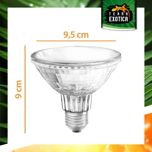 Terra Exotica Halogen Sunspot - Halogen Spotstrahler - 35 Watt